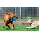 Ver imagem 2 de Brinquedo Pet Globken Chicken de 17 cm Azul