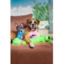 Ver imagem 4 de Brinquedo Pet para cães Loofa Dog com 18 cm Azul