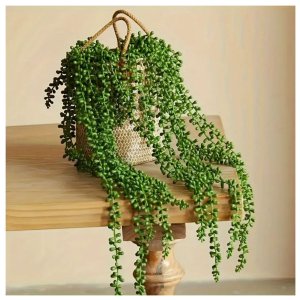 Kit 2 Folhagem Planta Verde Suculenta Artificiais 65cm Realista