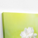 Ver imagem 3 de Quadro Jasmim-árabe Flor Branca Natureza Canvas 140x90cm