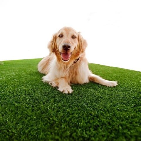 Grama Sintética 12mm (2m²) Petgarden® 2,00m X 1,00cm