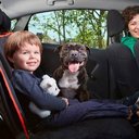 Ver imagem 5 de Capa Protetora Bancos Traseiros Carro Pet Cães Cachorro Gatos + Bag + Comedouro + Cinto