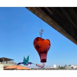 Bebedouro Coração De Vidro Para Beija Flor E Pássaros - 1