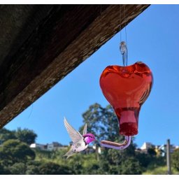 Bebedouro Coração De Vidro Para Beija Flor E Pássaros - 2