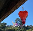 Ver imagem 2 de Bebedouro Coração De Vidro Para Beija Flor E Pássaros