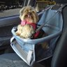 Cadeirinha / Assento de Transporte para cães e gatos até 10 kilos - Tubline  - Cinza e Azul - 7