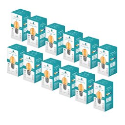 Kit 12 Lâmpadas Filamento LED Mini Globo G45 Âmbar 4W 110V - 2