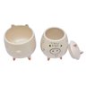 Kit Pote e Cachepot de Porcelana Porquinho com 2 - 3