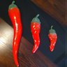 Decoração De Cozinha Trio De Pimentas Enfeite Parede Resina - Vermelho - 1