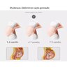Cinta Faixa Gestante Sustentação Para Gravida Apoio Barriga - 10