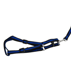 Coleira Pet Peitoral 2,5 cm x 1,2mm - Azul