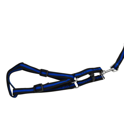 Coleira Pet Peitoral 2,5 cm x 1,2mm - Azul
