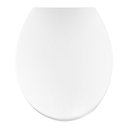 Ver imagem 1 de Assento Sanitário Polipropileno Universal Oval Soft Close Branco