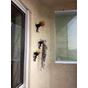 Ver imagem 2 de 3 Vasos Robert Plant Suculentas Alpinista/Aventureiros.