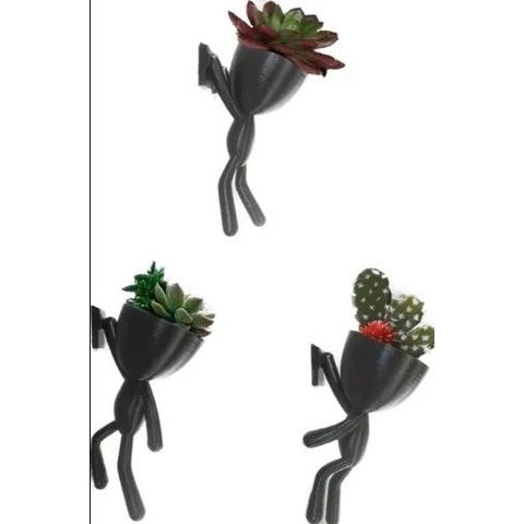 3 Vasos Robert Plant Suculentas Alpinista/Aventureiros.