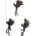 Ver imagem 1 de 3 Vasos Robert Plant Suculentas Alpinista/Aventureiros.