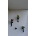 Ver imagem 5 de 3 Vasos Robert Plant Suculentas Alpinista/Aventureiros.