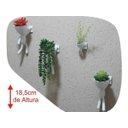 Ver imagem 1 de 3 Vasos Robert Plant Suculentas Alpinista/Aventureiros.