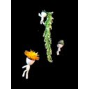 Ver imagem 2 de 3 Vasos Robert Plant Suculentas Alpinista/Aventureiros.