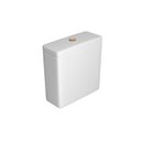 Ver imagem 1 de Caixa Acoplada com Acionamento Duo Deca Axis/Living/Piano/Polo/Quadra/Unic Branco/Gold Matte