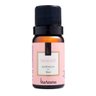 Essencia Aromatizante 10ml Clássica Aroma Delicatê - 1