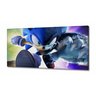 Quadro Decorativos Sonic em Tecido Canvas 130x60 - 2