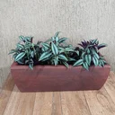 Ver imagem 1 de Jardineira para Plantas em Polietileno Marrom 100x20cm
