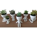 Ver imagem 6 de Kit 5 Vasos Decorativos Para Suculentas E Cactos Robert Plant/Bob.