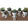 Kit 5 Vasos Decorativos Para Suculentas E Cactos Robert Plant/Bob. - 6
