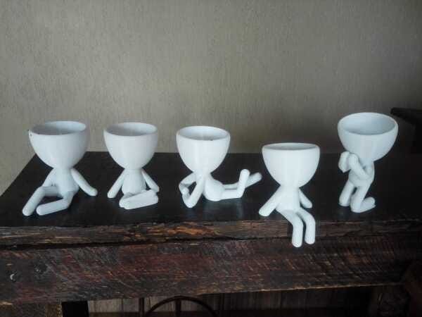 Kit 5 Vasos Decorativos Para Suculentas E Cactos Robert Plant/Bob. - 5