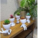 Ver imagem 4 de Kit 5 Vasos Decorativos Para Suculentas E Cactos Robert Plant/Bob.