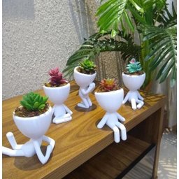 Kit 5 Vasos Decorativos Para Suculentas E Cactos Robert Plant/Bob. - 4