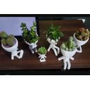 Ver imagem 1 de Kit 5 Vasos Decorativos Para Suculentas E Cactos Robert Plant/Bob.