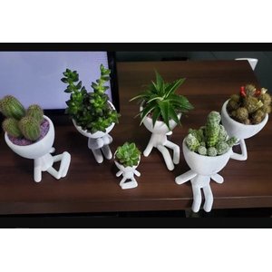 Kit 5 Vasos Decorativos Para Suculentas E Cactos Robert Plant/Bob.