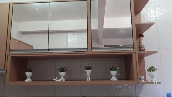 Kit 5 Vasos Decorativos Para Suculentas E Cactos Robert Plant/Bob. - 3