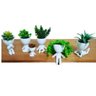Kit 5 Vasos Decorativos Para Suculentas E Cactos Robert Plant/Bob. - 2