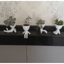 Ver imagem 2 de Kit 4 Robert Plant/Bob Vasos Para Suculentas E Cactos Mini. Na Cor Branca