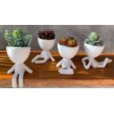 Ver imagem 3 de Kit 4 Robert Plant/Bob Vasos Para Suculentas E Cactos Mini. Na Cor Branca