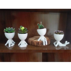 Kit 4 Robert Plant/Bob Vasos Para Suculentas E Cactos Mini. Na Cor Branca