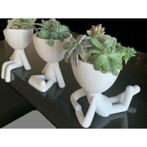 Kit 3 Vasos Para Suculentas e Cactos Trio Robert Plant