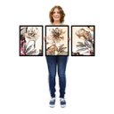 Ver imagem 4 de Conjunto Quadros Decorativos Moldura Flores Consultório Sala