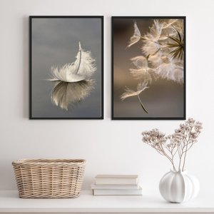 Kit 2 Quadros Fotografias Pena e Dente de Leão 45x34cm - com Vidro:madeira Preta