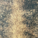 Ver imagem 4 de Tapete Sala Natural Formato do Boi