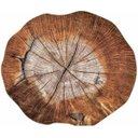 Ver imagem 1 de Kit de Jogo Americano Tronco de Arvore 35cm X 45cm 6unidades