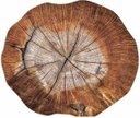 Ver imagem 1 de Kit de Jogo Americano Tronco de Arvore 35cm X 45cm 6unidades