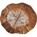 Ver imagem 1 de Kit de Jogo Americano Tronco de Arvore 35cm X 45cm 4 Uni.