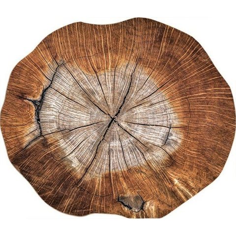 Kit de Jogo Americano Tronco de Arvore 35cm X 45cm 4 Uni.