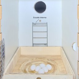 Ninho para Pstacídeos, Ring Neck, Rosela, Red Rumped - Mdf Chocmaster Ninho Ring Neck Mdf - 7