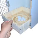 Ver mais imagens de Ninho para Pstacídeos, Ring Neck, Rosela, Red Rumped - Mdf Chocmaster Ninho Ring Neck Mdf