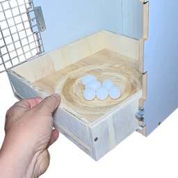 Ninho para Pstacídeos, Ring Neck, Rosela, Red Rumped - Mdf Chocmaster Ninho Ring Neck Mdf - 8